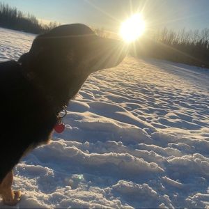 Meet your Posher, Lana